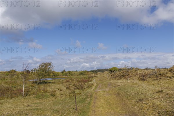 Extensive path through green meadow landscape with hills under a partly cloudy sky, dune and hiking