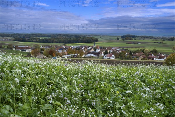 View over Schopflohe near Fremdingen, on the edge of the Ries crater, Noerdlinger Ries, Swabia,