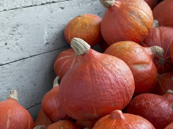 Several large pumpkins in a wooden box that looks rustic and autumnal, many orange pumpkins at