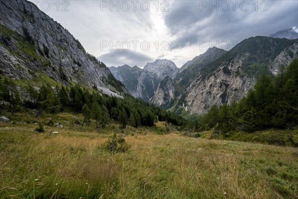 Mountain landscape with rocky mountain peaks and mountain forest, view into the Wolayer valley,