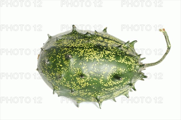 African horned melon (Cucumis metuliferus), fruit on white background