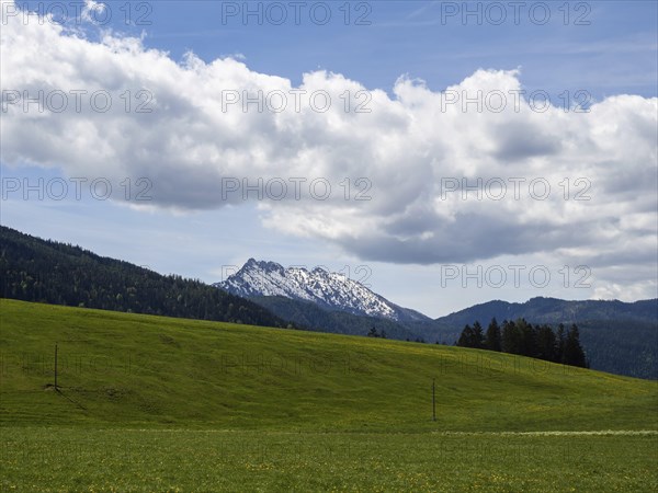 Cloudy mood over mountain peak, Kammspitze, near Bad Mitterndorf, Styria, Austria, Europe