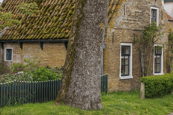 Rustic brick house with moss-covered tiled roof and a large tree in front, old houses with green