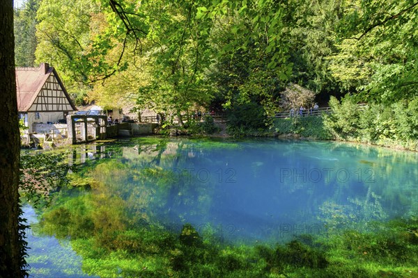Blue spring, karst pot, Blautopf, Blaubeuren, Swabian Alb, Baden-Wuerttemberg, Germany, Europe