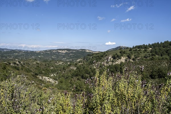Landscape in the centre of Rhodes, Dodecanese archipelago, Greek islands, Greece, Europe