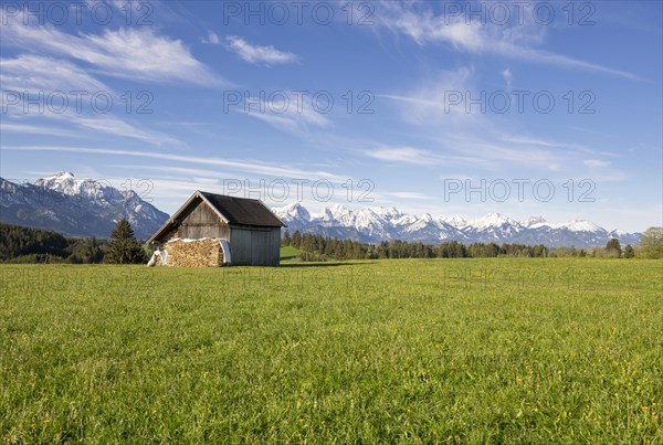 Wooden hut near Fuessen, woodpile, Allgaeu Alps, snow, meadow, Allgaeu, Bavaria, Germany, Europe