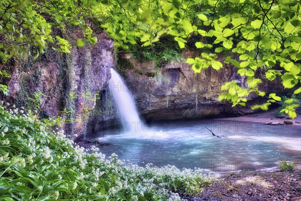 Waterfall in the forest with a small pond, wild garlic in bloom, Canton Basel-Landschaft,