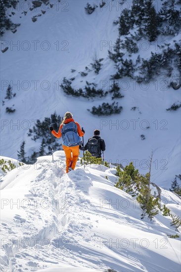 Hikers in winter descending the Aiplspitz, Mangfall mountains, Bavarian Prealps, Bavaria, Tyrol,