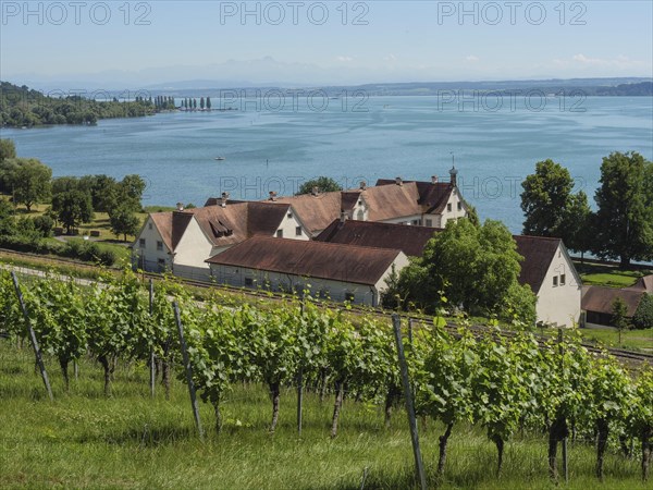 Winery with red roofs on the shore of a lake, surrounded by vineyards and green nature on a sunny