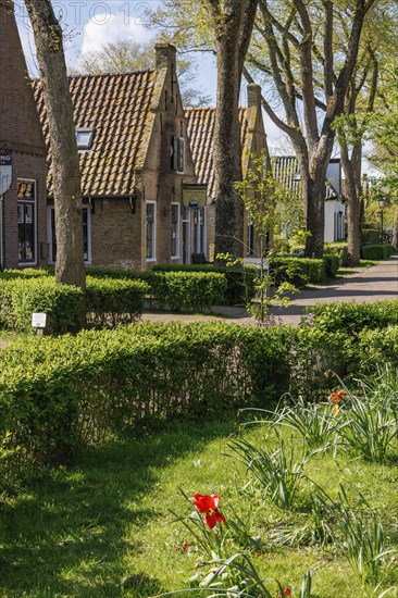 A village street with well-tended front gardens, blooming flowers and trees on a sunny day,