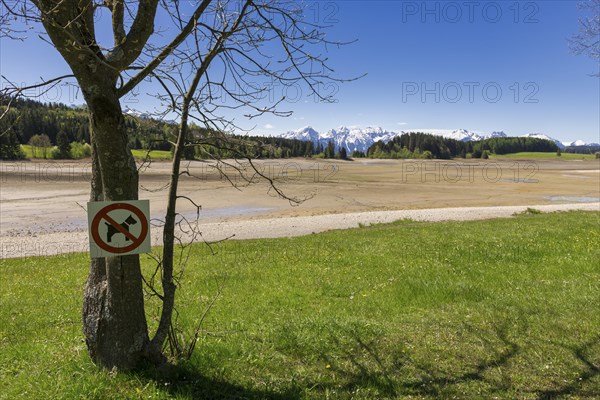 Drained Forggensee, empty, reservoir, flood protection, tree, information board, ban on dogs,
