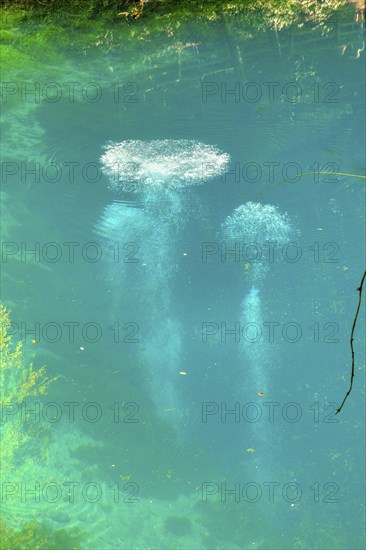 Blue spring, karst pot, Blautopf, Blaubeuren, Swabian Alb, Baden-Wuerttemberg, Germany, Europe