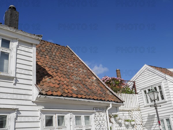 White houses with red roofs, a few flowers and blue sky, white wooden houses with green trees and