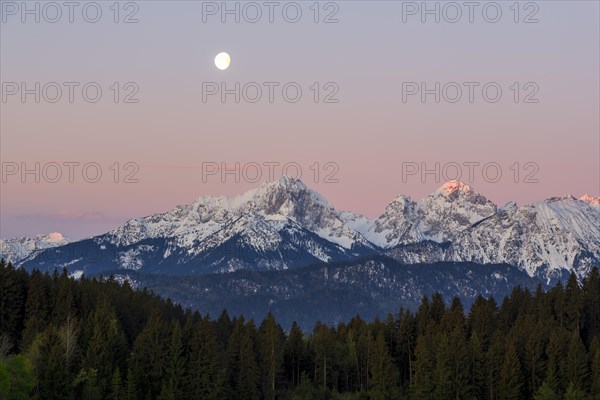 Allgaeu Alps, view from Hegratsrieder See, snow, dawn, moon, Allgaeu, Bavaria, Germany, Europe