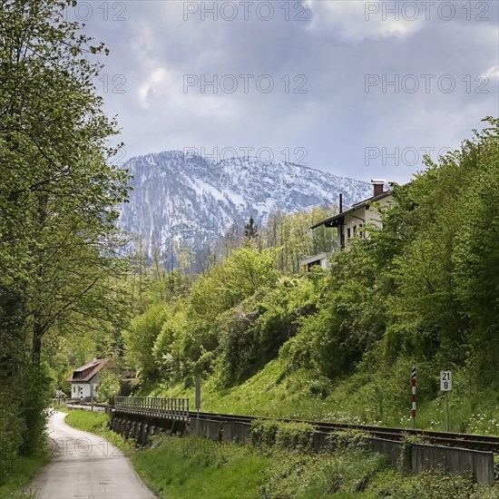 A quiet path leads through a green landscape with snow-capped mountains in the background