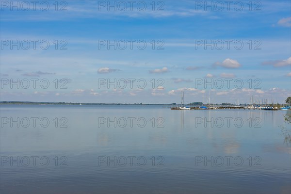 Lake Duemmer, nature reserve, shore, Huede, Lower Saxony, Germany, Europe