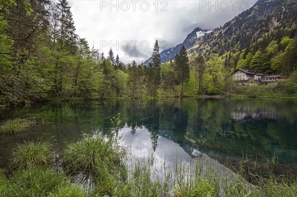 Christlessee, near Gottenried, Trettachtal, Oberstdorf, Oberallgaeu, Allgaeu, Bavaria, Germany,