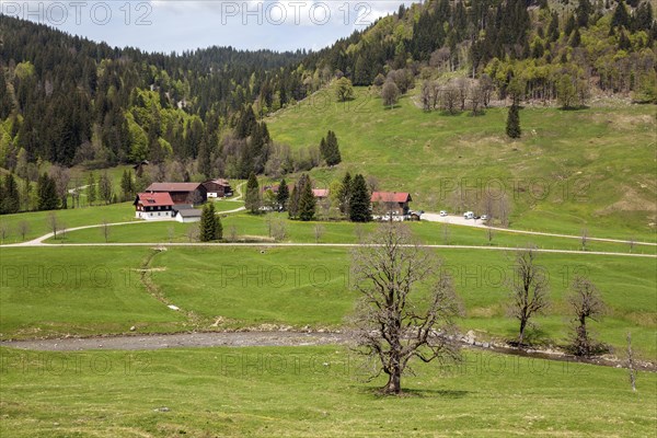 Rohrmoos, Rohrmoostal, Oberallgaeu, Allgaeu, Bavaria, Germany, Europe