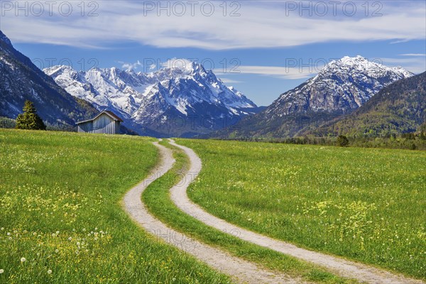 Mountain path through spring meadow with hay barn in front of Zugspitzgruppe 2962m in the