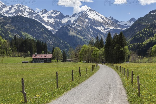 Path in Stillachtal, behind mountains of the Allgaeu Alps, Birgsau, near Oberstdorf, Oberallgaeu,