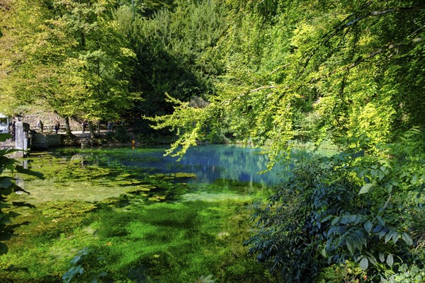Blue spring, karst pot, Blautopf, Blaubeuren, Swabian Alb, Baden-Wuerttemberg, Germany, Europe