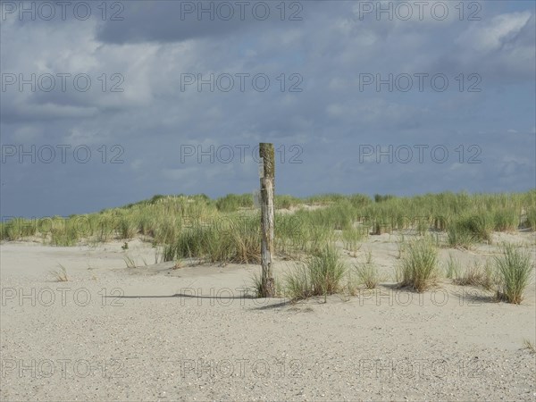 Sand dune landscape with tufts of grass and a weather post under a cloudy sky, lonely beach with