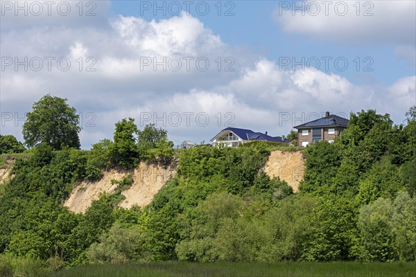 Break-off edge, Elbhang, Boize Ufer, Boizenburg, Mecklenburg-Vorpommern, Germany, Europe