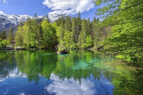 Spring at Lake Badersee, Zugspitzdorf Grainau, Werdenfelser Land, Bavarian Alps, Upper Bavaria,
