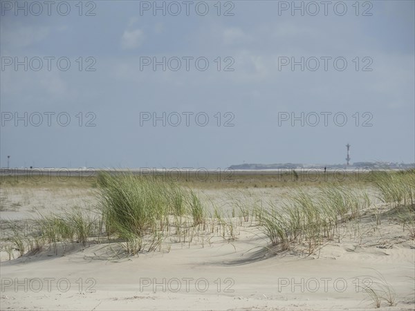 Extensive sand dunes with tufts of grass under a slightly cloudy sky, sand dune with dune grass on