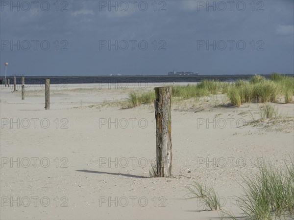 Empty dune landscape with wooden posts on the beach under a cloudy sky, lonely beach with dune