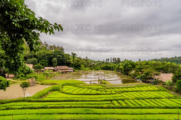 Landscape of Five Hill Tribes Village house and rice paddies with unidentified people working in