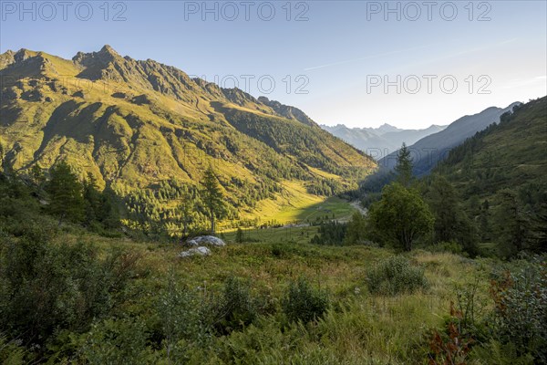 View of the Frohntal valley in the first morning light, mountain landscape with green mountain