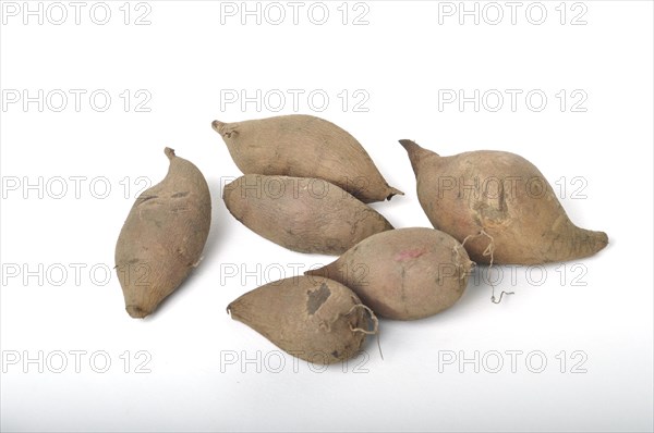 Yacon roots on a white background