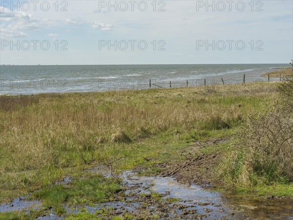 Muddy coastal area with grass and puddles in front of the sea and sky with clouds, dune and hiking