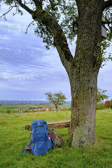 View from the Blasienberg, Kirchheim an der Ries, Noerdlinger Ries, Ostalbkreis,