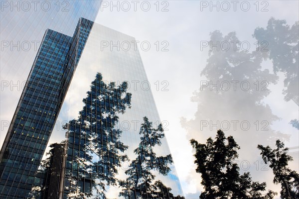 Double exposed image of skyscrapers and trees, Canary Wharf, London, England, Great Britain