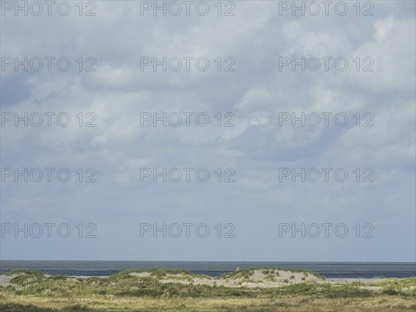 View of the calm sea behind the dunes under a cloudy sky, lonely beach with dune grass in the