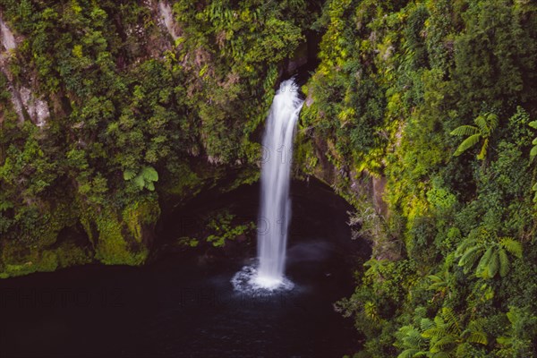 Omanawa Falls waterfall near Tauranga, New Zealand. Tropical nature surrounds the waterfall