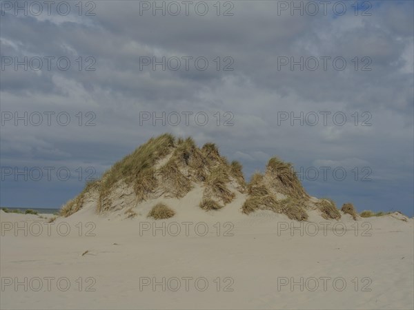 Large sand dune with grass under a cloudy sky, dune and beach by the sea with footpaths, grass and