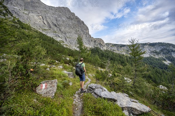 Mountaineer on a hiking trail with red and white markings, Carnic High Trail above the Upper