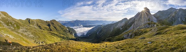 Panorama, mountain valley and mountain panorama in the morning light, view into Winkler Tal with