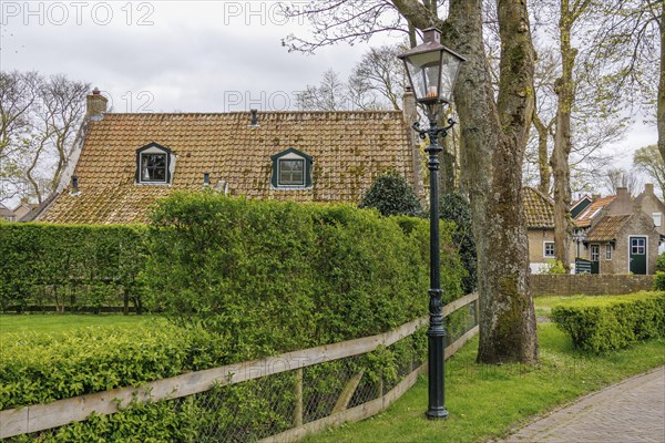 Cosy house in a village, surrounded by green hedges and lanterns, a road leads past, dune and