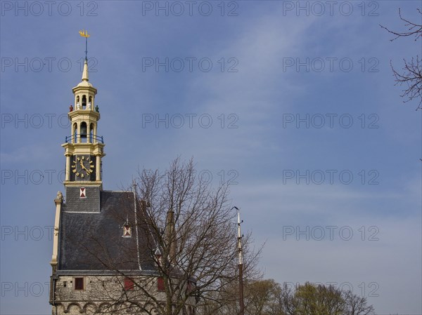 Historic stone clock tower surrounded by trees in front of a blue sky, tower with a golden spire
