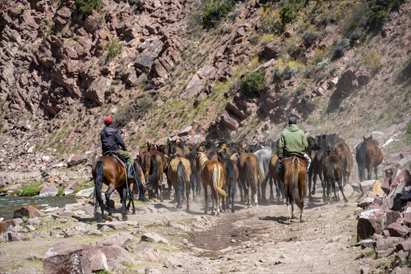 Shepherds on horses driving herd of horses along a track, mountain landscape in Karkyra valley,