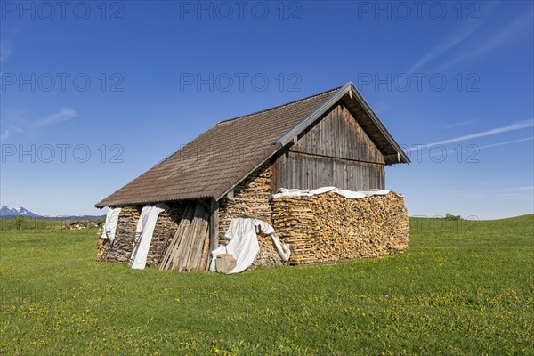 Wooden hut near Fuessen, woodpile, Allgaeu Alps, snow, meadow, Allgaeu, Bavaria, Germany, Europe
