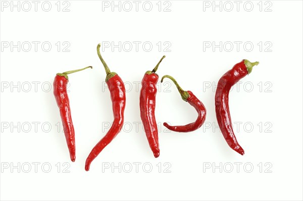 Chilli (Capsicum frutescens) on a white background, chilli pepper, chilli peppers