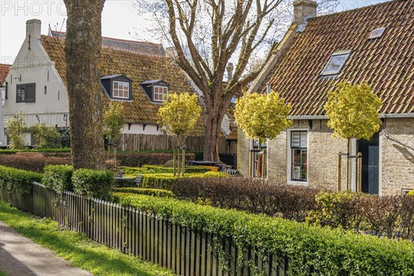 Picturesque village houses with well-tended gardens and green fences under a blue sky, old houses
