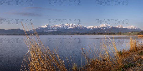 Sunrise, Lake Hopfensee, near Fuessen, Ostallgaeu, with the Tannheim Mountains behind, Allgaeu,