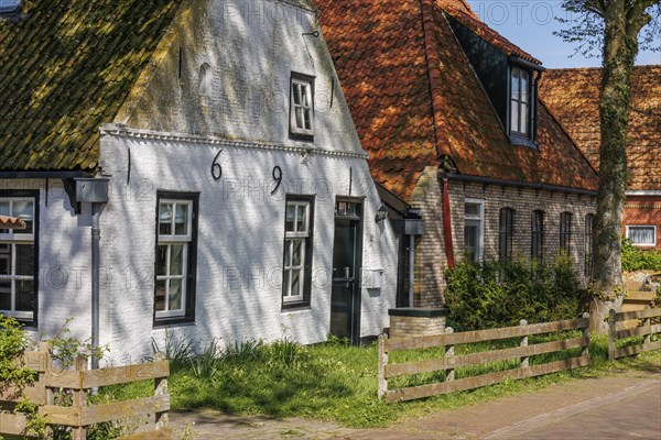 Traditional old houses in a village, surrounded by trees and a wooden fence in the sunlight,