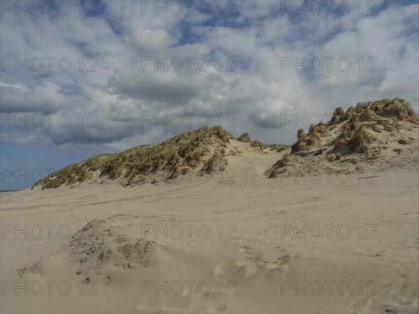 Wide sand dune landscape under a sky with threatening clouds, beach and dunes with grass and a